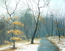 Winter Trail