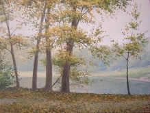 Trees at the Lake