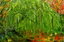 Weeping Willow