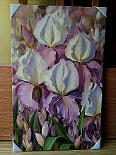 Irises - oil, canvas