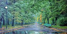 Rain In The Park - oil, canvas