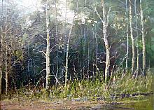 Aspen Wood in Omsk region, Russia - oil, canvas