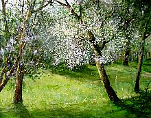 Old Apple Tree - oil, canvas