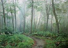 Morning In The Forest - oil, canvas