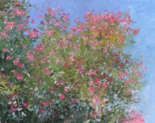 Montenegro In Blossom II - oil, canvas