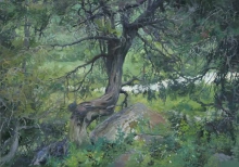 In The Tyan-Shan - oil, canvas