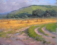 Golden Field - oil, canvas