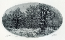 Little Oak Trees - paper, etching
