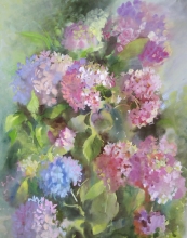 Blooming Hydrangea - watercolor, gouache
