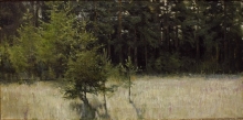 At The Edge Of The Forest - oil, canvas