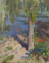Poplar tree - oil, canvas