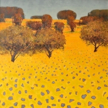 Van Goghs Field - oil, canvas