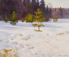 Winter Forest - oil, canvas