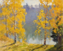 Golden Birch Trees - oil, canvas