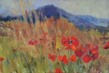 Poppies - oil, canvas