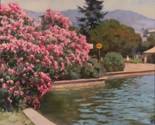 Crimea. Oleanders Blooming - oil, canvas