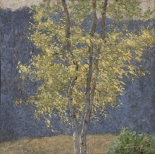 Birch Trees - acryllic, lacquer, canvas