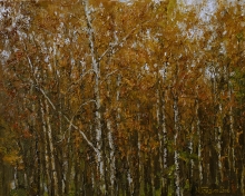 Autumn. Birch Trees - oil, canvas