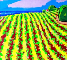 Hemp Field - oil, canvas