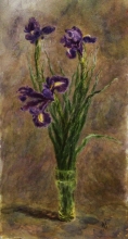 Irises - paper, aquarelle