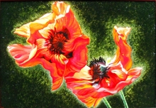 Poppies. The Suite About A Physical Love - oil, canvas