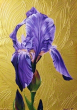Iris - oil, canvas