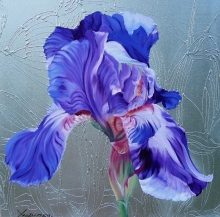 Iris - oil, canvas