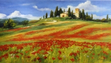 Poppies, Italy - oil, canvas