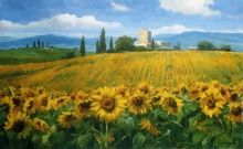Sunflowers, Italy - oil, canvas
