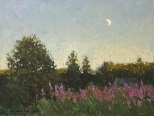 Summer Evening - oil, canvas