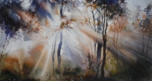 Light Of The Sun In The Forest - watercolor, paper