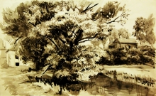 Tree Over The Pond - black watercolor, paper