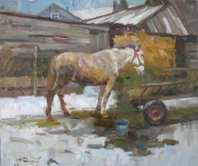 Horse - oil, canvas