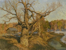 Evening Of The Old Poplar Tree - oil, canvas