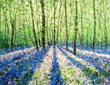In The Spring Forest - oil, canvas
