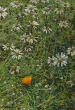 Bloom - oil on canvas on hardboard