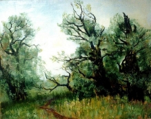 Old Willows - oil, canvas