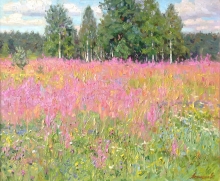 Fireweed - oil, canvas