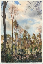 Forest - watercolors, paper