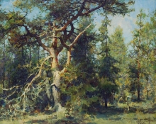 At Solovki - oil, canvas