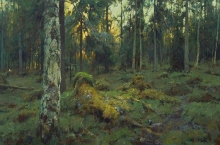 Northern Forest - oil, canvas