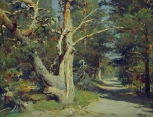 Road To The Cape Pechak. Solovki - oil, canvas
