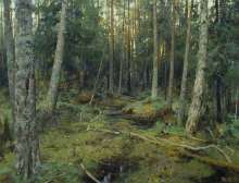 In The Conifer Forest - oil, canvas