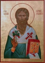 Saint Patrick Of Ireland - icon