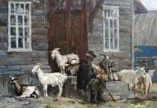 Solovki Goats - oil, canvas