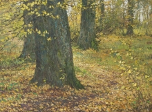 Poplars - oil, canvas