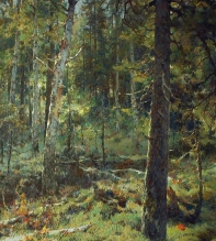 In The Woods - oil, canvas