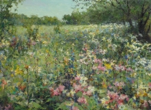 Blooming Meadow - oil, canvas