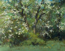 Bird Cherry - oil, canvas