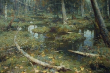 Marsh - oil, canvas